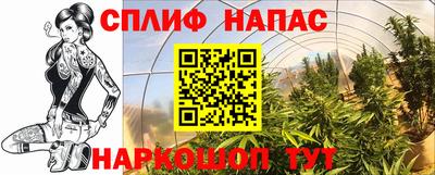 прущие грибы Конаково