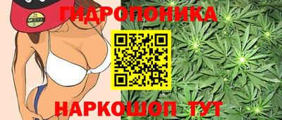 прущие грибы Конаково