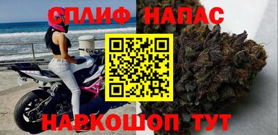 mdpv Кингисепп